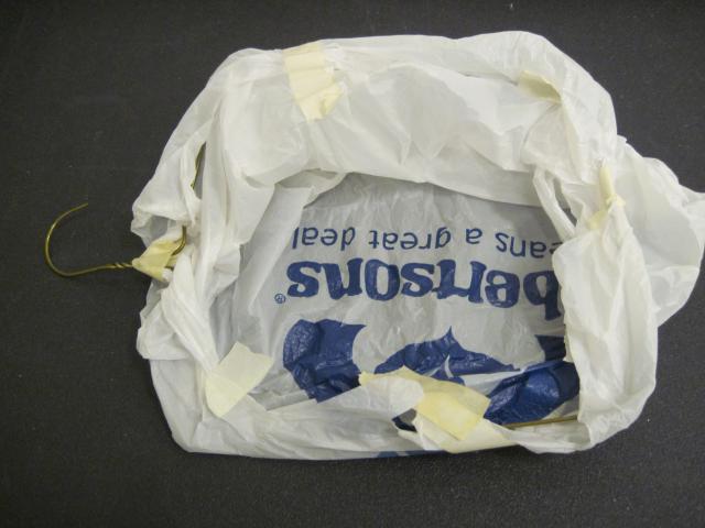 Plastic bag with wire frame