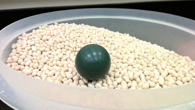 Green ping pong ball in bowl of beans used for buoyancy demo