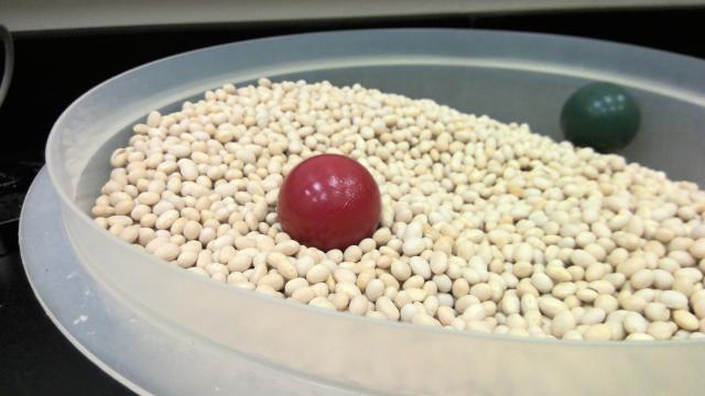 Red steel ball in bowl of beans used for buoyancy demo