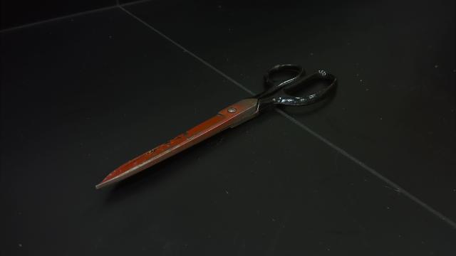 Scissors with red blades used for compression igniter demonstration